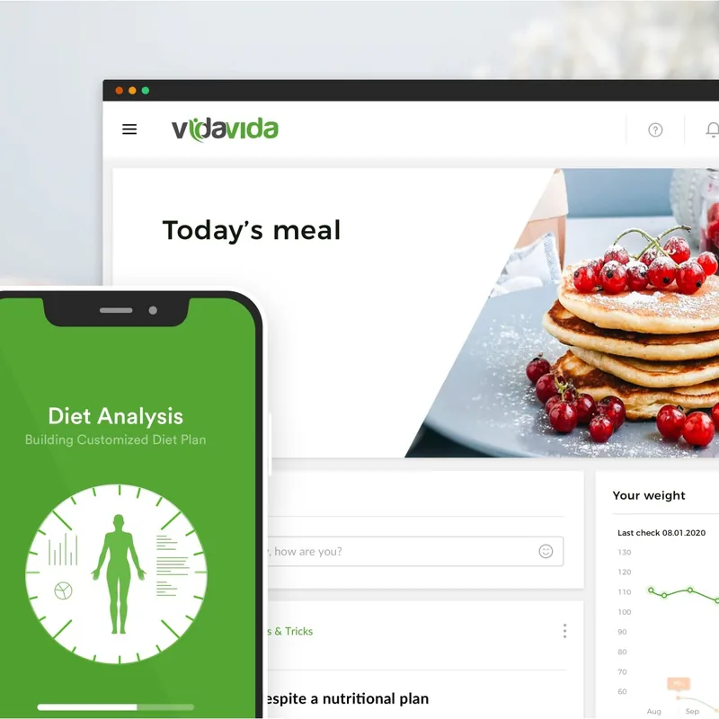 VidaVida: nutrition and diet tracking platform product design